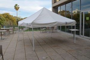 Carpa