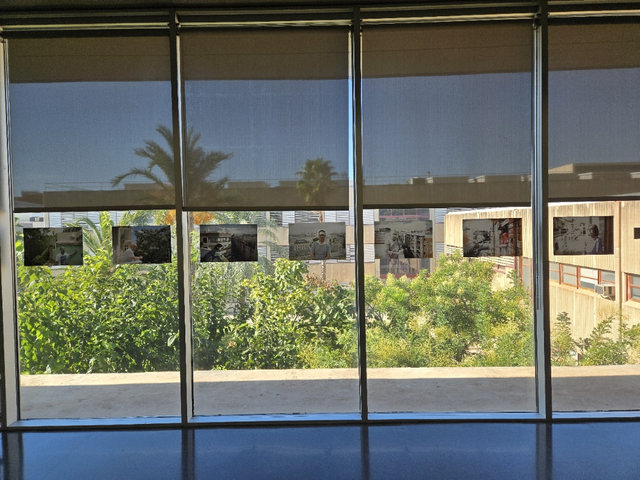 Filera de xicotetes fotografies penjades al llarg d'un finestral, amb vegetació i edificis del campus a l'altra banda