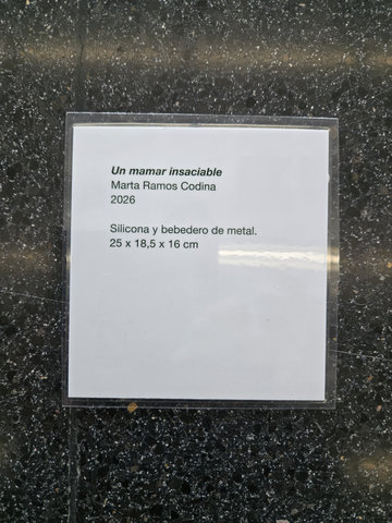 Cartel·la de l'obra «Un mamar insaciable» (2026): silicona i abeurador de metall, 25 × 18,5 × 16 cm