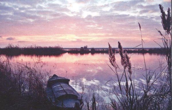 JOSE VILAR SERRA_L\'ALBUFERA 3