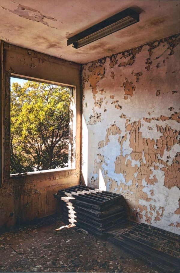 Mejor Serie. Andrea Ludovico Ferro. Nature reconquest 1