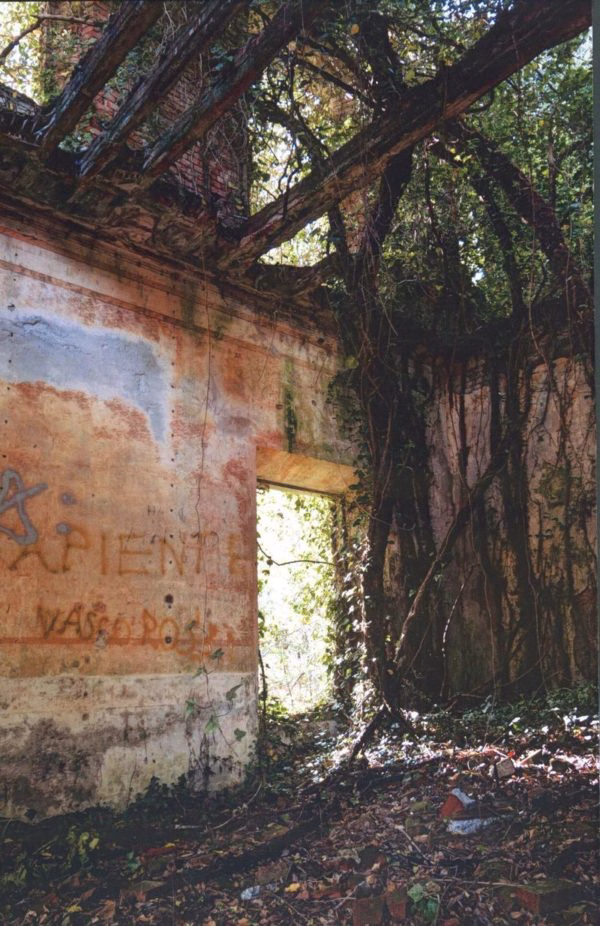Mejor Serie. Andrea Ludovico Ferro. Nature reconquest 3