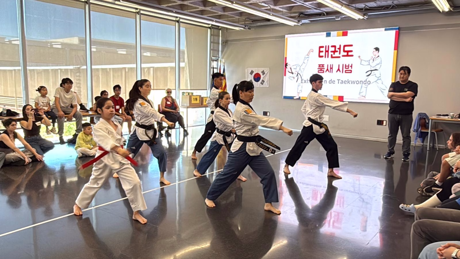 Dia de Corea Taekwondo
